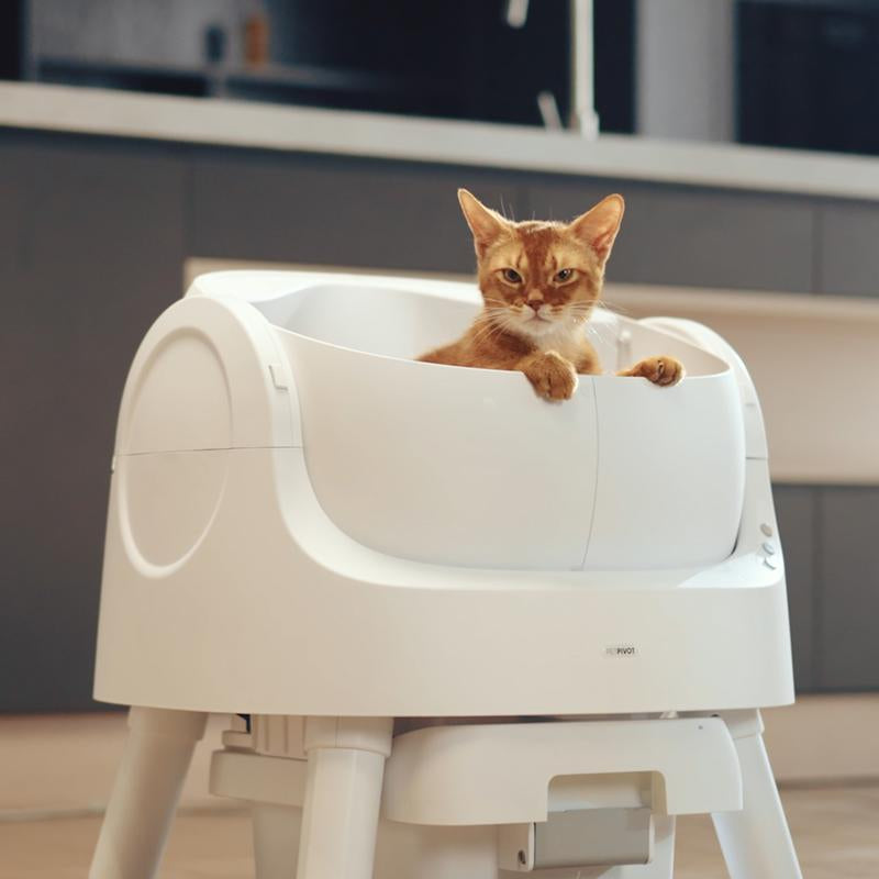 RoyalSavings Petpivot Autoscooper 11 self-cleaning cat litter box with open top and odor-free waste disposal system.
